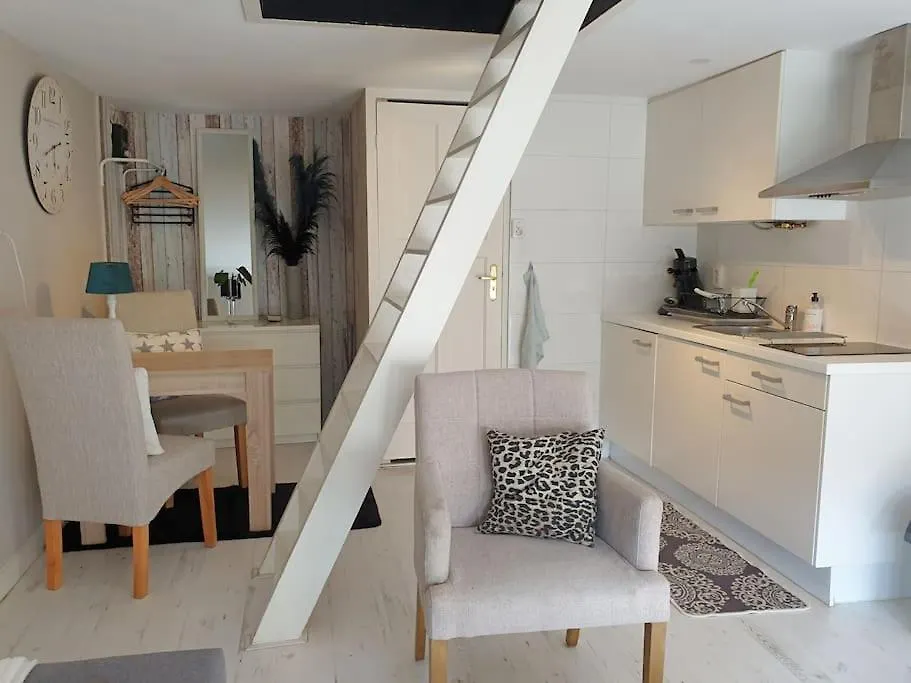 Garden House, Free Parking Lägenhet Zandvoort Nederländerna